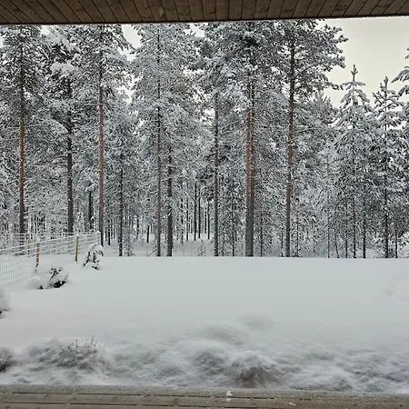Forest Retreat